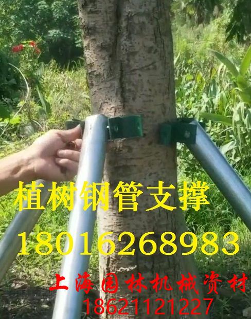 鋼支撐1 鋼支撐1