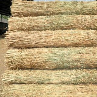 草簾子 ，草包 草繩上海地區降溫，雨雪天氣注意植物防寒抗凍，