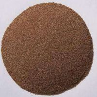 草坪夏季草交播狗牙根,矮生百慕大季節來臨,提前預備種子