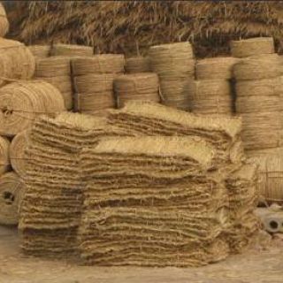 上海綠化草繩草包批發零售，土球繩，繞樹繩