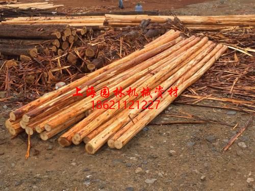 削皮杉木樁 削皮杉木樁